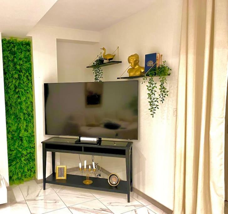 Toulouse Vaste Appartement Tres Lumineux 외부 사진